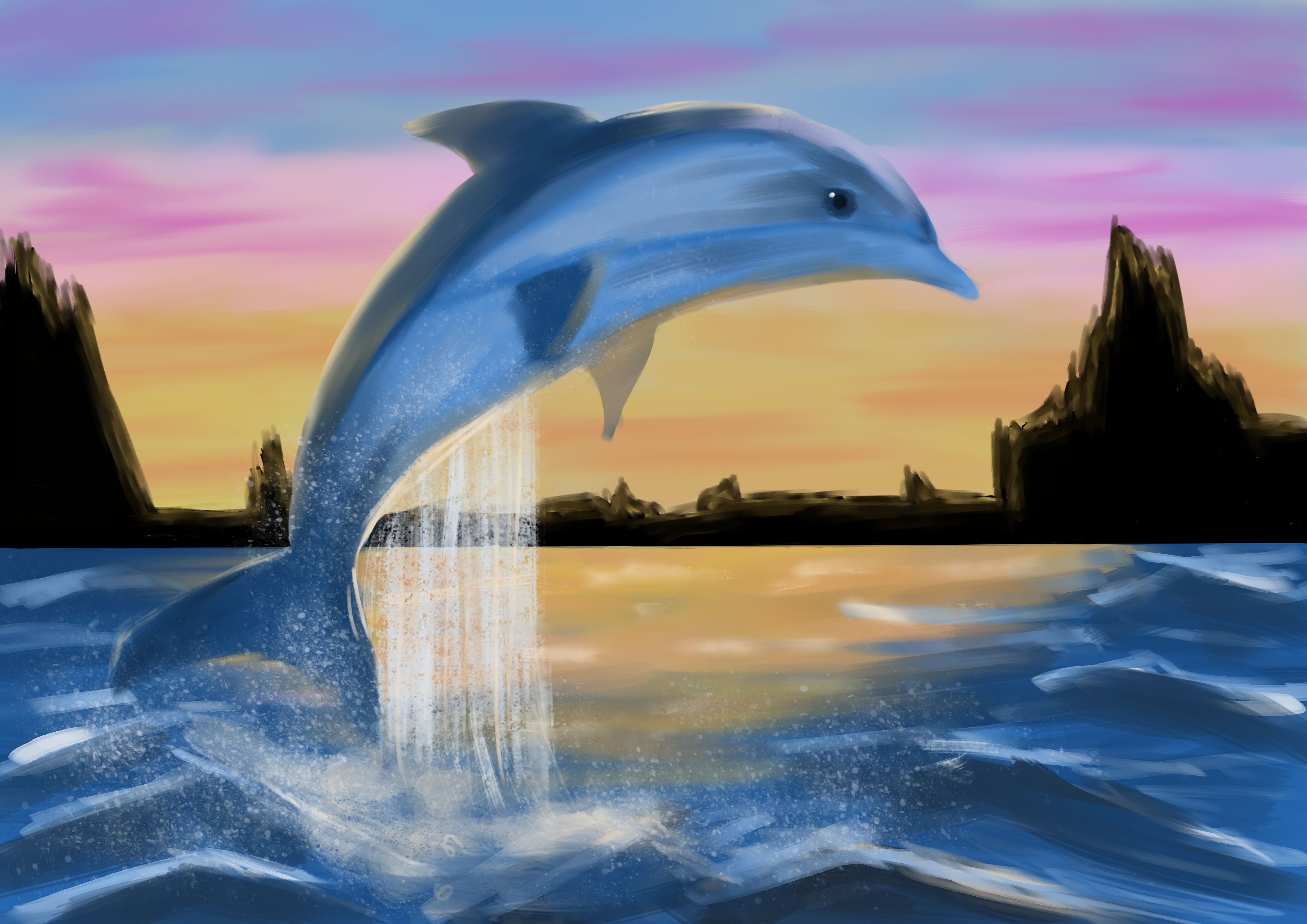 dolphin.jpg