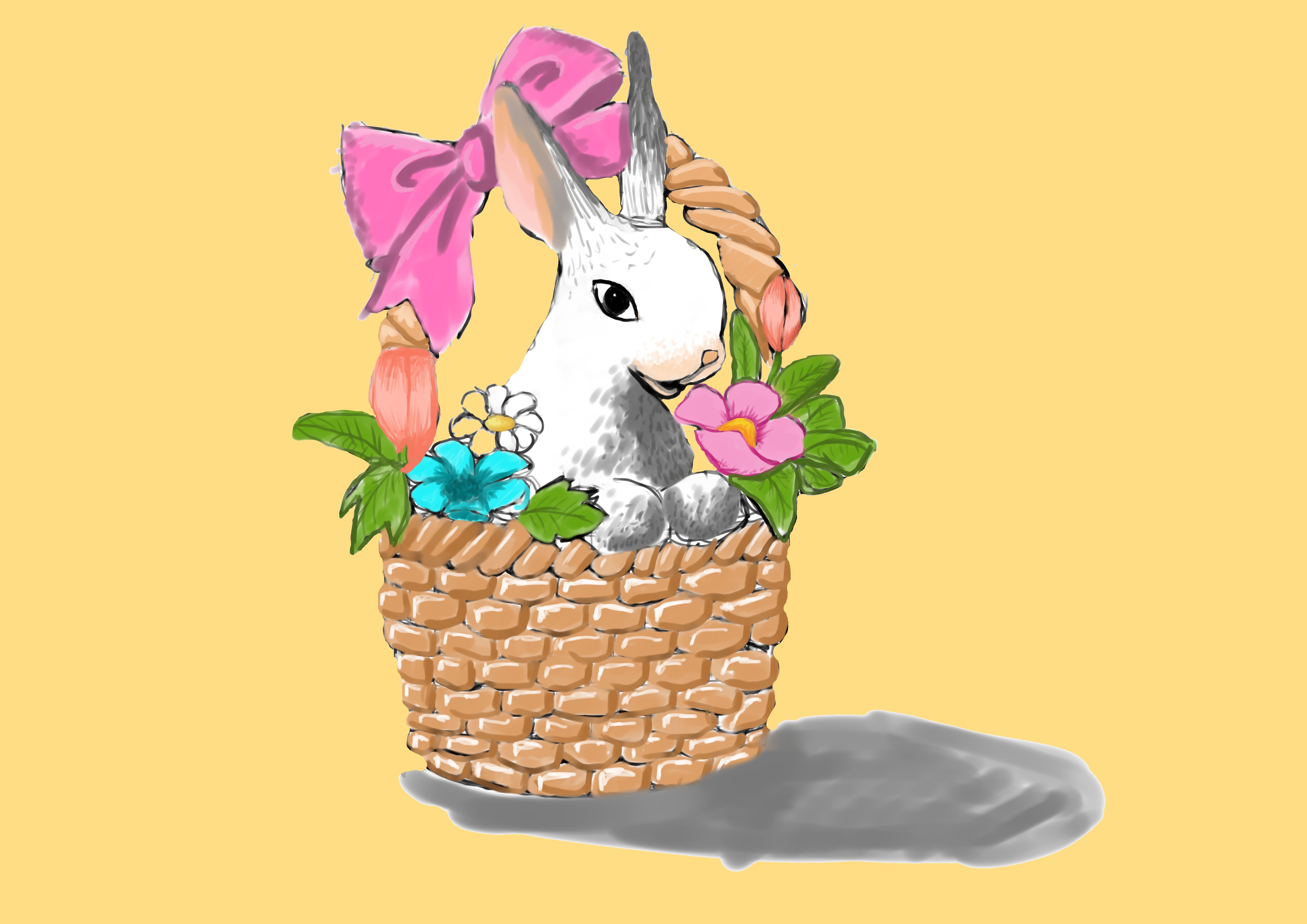 rabbit-2.jpg